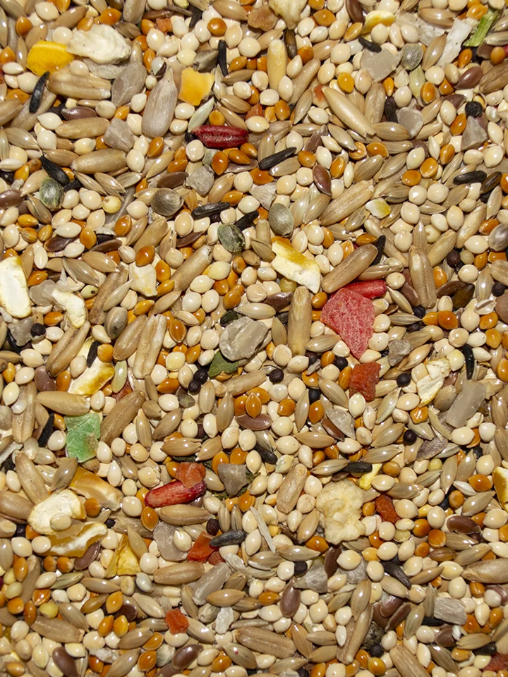 VPP 22704 - AVIAN SCIENCE SUPER PARAKEET - 4 LB - Image 2