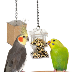 CAI 00751 - CFS FORAGING BOX FEEDER