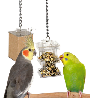 CAI 00751 - CFS FORAGING BOX FEEDER