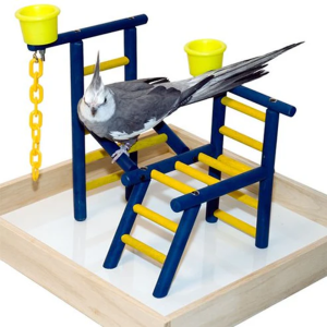CAI 00021 - TPL, 14"  PLAYLAND