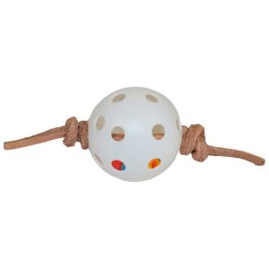 SBT SB960 - WHIFFLE RATTLE FOOT TOY