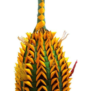 PLA 03365 - PINEAPPLE FORAGING TOY MED
