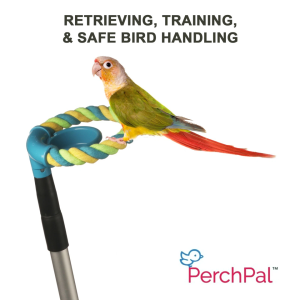 PAL 75406 - EXTENDABLE PERCH FOR RETRIEVING AND TRAINING