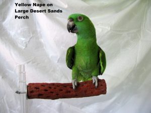 POL 51052 - POLLY'S DESERT SANDS PERCH LARGE
