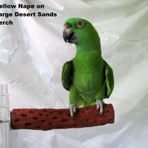 POL 51052 - POLLY'S DESERT SANDS PERCH LARGE
