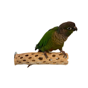 POL 50736 - POLLY'S CHOLLA CACTUS PERCH SMALL