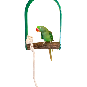 POL 50486 - HARDWOOD ARCH SWING EXTRA LARGE