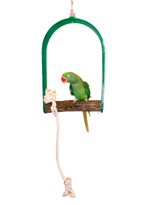 POL 50486 - HARDWOOD ARCH SWING EXTRA LARGE