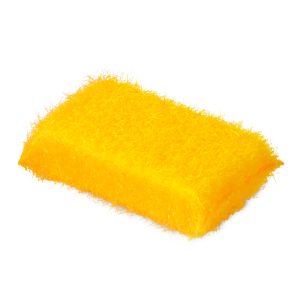 PRV 00109 - BIRD CAGE SAVER SCRUB PAD