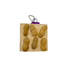 POL 50414 - CACTUS SNACK SINGLE SLICE WITH PEANUTS