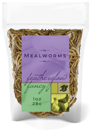 VPP 74406 - FEATHERGLOW FANCY MEALWORMS - 1 OZ